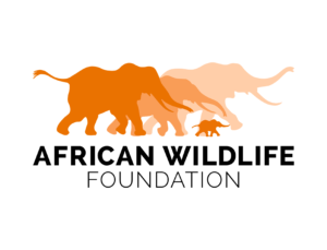 African Wildlife Foundation