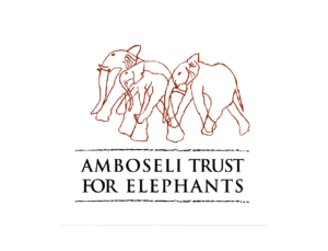 Amboseli trust for Elephants