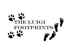 The luigi Footprints